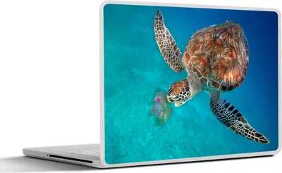 Produktbild von MuchoWow® Laptop Aufkleber Sticker Cover Grüne Schildkröte mit Qualle 30x21 cm - Sticker für Laptop - Selbstklebend