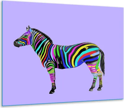 Produktbild von Herdabdeckplatten Glaskeramikkochfeld-Abdeckung Spritzschutz Glas 60x52cm Zebra