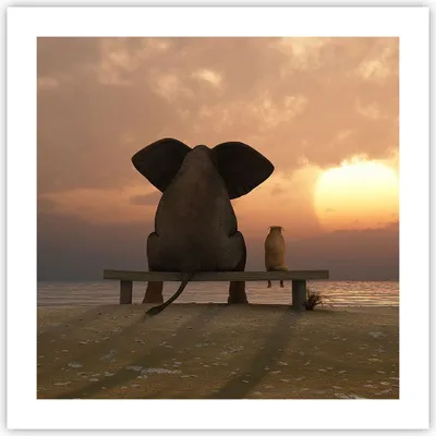 Produktbild von Poster - Poster ohne Rahmen - Elefant Ufer Meer - 50x50 cm - Wand Bild - Wanddeko - Wandbilder - Kunstposter - Wandposter - Bilder - Kunstdruck - Wanddekoration - Wandbild - P2XAC50x50-3555