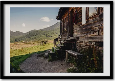 Produktbild von Bild - Bilderrahmen - 100 cm x 70 cm - MDF - Rahmen - Foto - Wandkunst Holzberghaus