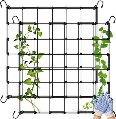 Produktbild von Pflanzennetz 120x120 cm, 2 Stück, Polyethylen, mit Haken, für Garten