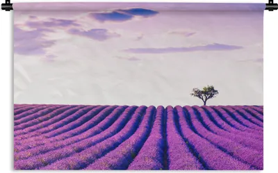Produktbild von MuchoWow® Wandteppich Wandbehang Lavendel - Bäume - Lila - Blumen 60x40 cm Tapisserie Dekoration Wandtuch - Wanddekorationen