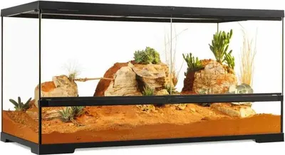 Produktbild von Exo Terra Pro Terrarium L Wide Terrarium 90x45x45cm Golden 90x45x45 cm Golden 90x45x45 cm