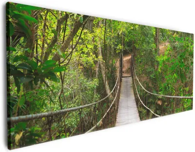 Produktbild von Wallario Premium Leinwandbild Hängebrücke im Urwald  grüner Dschungel in Größe 80 x 200 cm