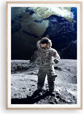 Produktbild von Gerahmtes Poster - Rahmen in heller Eiche - Astronaut Mond Erde Raum - 70x100 cm - Wand Bild - Wanddeko - Wandbilder - Wandposter - Bilderrahmen - Bilder - Kunstdruck - Wandbild - P2NPA70x100-2864