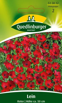 Produktbild von Quedlinburger Saatgut - Lein Roter - Samen - 515812
