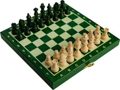 Produktbild von Mini MAGNETISCHES Holzschachspiel - grün