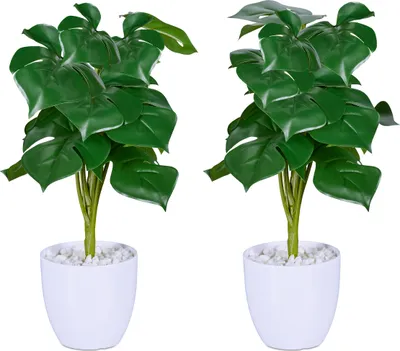 Image de Relaxdays - Plante artificielle Monstera, lot de 2 plantes artificielles en pot, plantes en plastique, H x P : 33 x 20 cm, vert/blanc