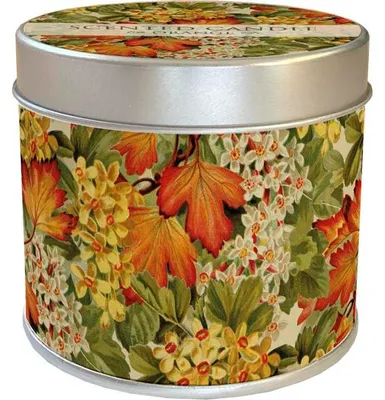 Image de Bougie parfumée « Feuilles d'automne » - parfum d'orange, 205 g