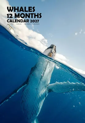 Productafbeelding van A3 Walvissen Wandkalender 2027