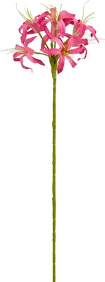 Produktbild von Mica Decorations Kunstpflanze Nerine dunkelrosa 59 cm
