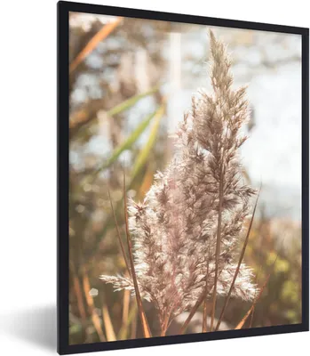 Produktbild von MuchoWow® Gerahmtes Poster Schilf - Sonne - Pflanze 60x80 cm - Poster mit Schwarzem Bilderrahmen Wandposter Rahmen Foto Bilder - Premium - Wanddeko Wohnzimmer