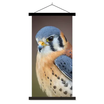 Produktbild von MuchoWow® Textilposter Vogel - Makro - Blau 90x180 cm mit schwarzem Rahmen - Dekoration Wohnzimmer
