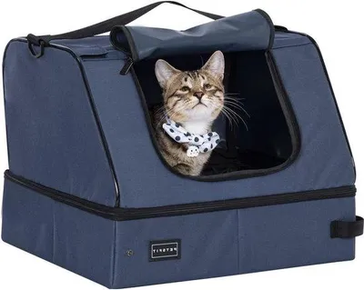 Produktbild von Famanu Faltbare Katzenbox - Wasserfest, Leicht Waschbar, Mit Handgriff - Blau