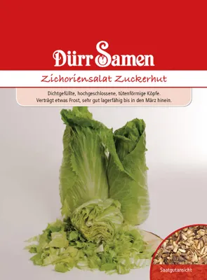 Produktbild von Dürr-Samen - Zichoriensalat Zuckerhut - Saatgut - 0501