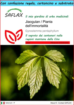 Immagine prodotto di SAFLAX Set regalo - Jiaogulan / Pianta dell'immortalità - 30 semi - Gynostemma