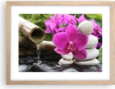 Produktbild von Gerahmtes Poster - Rahmen in heller Eiche - Orchidee Bambus Dekoration Spa - 40x30 cm - Wand Bild - Wanddeko - Wandbilder - Wandposter - Bilderrahmen - Bilder - Kunstdruck - Wandbild - P2NAA40x30-2666