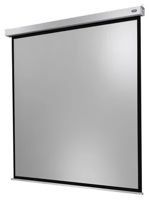 Image de celexon Leinwand Motor Professional Plus 200 x 200 cm