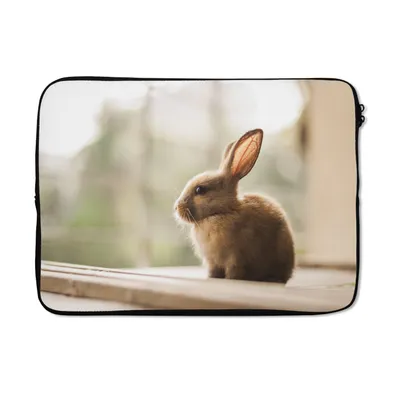 Produktbild von MuchoWow® Laptop Hülle 13 Zoll Kaninchen - Baby - Tier Laptoptasche - Laptophülle - Sleeve - Rundumschutz