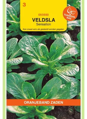 Imagen del producto de Oranjeband: Semillas de lechuga de campo (Elan) - 1 paquete
