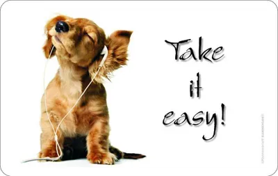 Produktbild von Hunde Sprüche - Frühstücksbrettchen - Take it easy!