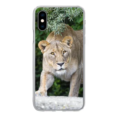 Produktbild von MuchoWow® Handyhülle Schutzhülle Hülle für iPhone X Löwinnen - Wilde Tiere - Jagd Silikon Softcase Handy Hülle - Handyhülle