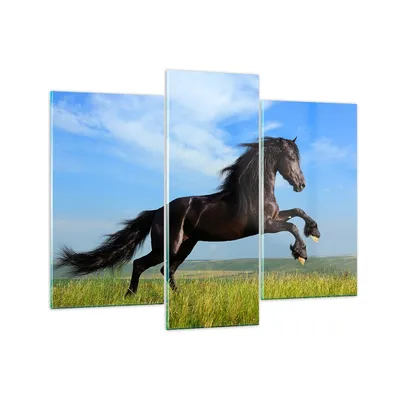 Produktbild von Bilder auf glas - Schwarzes Pferd Pferd Galopp - 130x100cm - Glasbilder - Wandbilder - Kunstdruck - zum Aufhängen bereit - Wanddekoration aus Glas - Glas Bilder - Wandbild auf Glas - GCB130x100-0495
