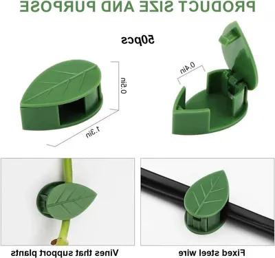 Pflanzenclips für Kletterpflanzen: Set mit 50 grünen Clips für sichere