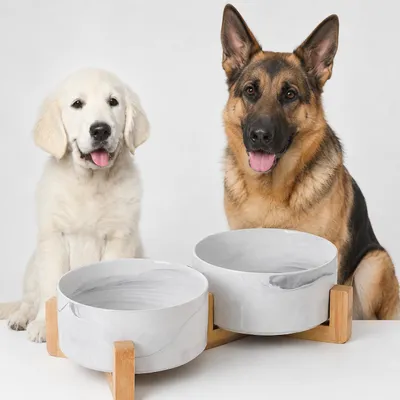 Produktbild von Keramik Doppelnapf für Hund Katze mit Ständer Marmoroptik 800 ml, KI-generiertes Bild