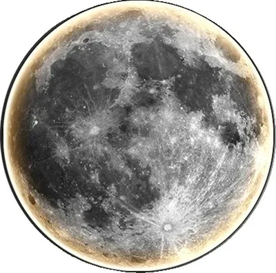A close-up, full view of the moon against a white background.