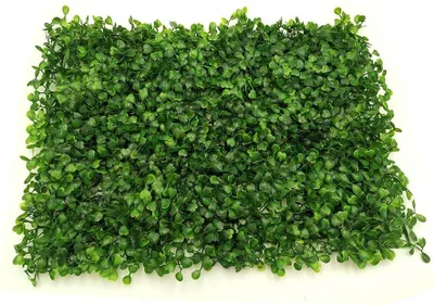 Obrázok produktu pre Umelá podložka zo zimostrázu 60 x 40 cm