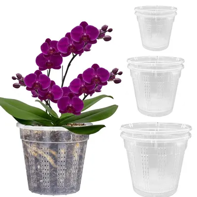 Produktbild von Set mit 6 transparenten Orchideentöpfen in 3 verschiedenen Größen