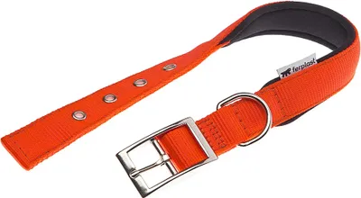 Immagine prodotto di Collare in nylon DAYTONA C 45cmx25mm arancione FP 1pc