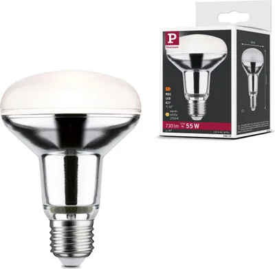Image de Paulmann Standard 230V Réflecteur LED