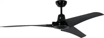 Produktbild von Industrie Deckenventilator Pepeo Vourdries Schwarz 142 cm mit Wandschalter