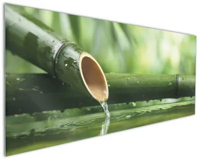 Produktbild von Wallario Küchenrückwand aus Glas, Größe: 125 x 50 cm, Motiv: Bambusquelle  Bambusrohr mit Wasser | Spritzschutz | abwischbar | pflegeleicht | in