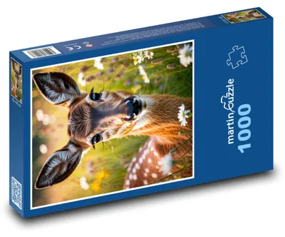 Obrázok produktu pre Puzzle 1000 Jelenča na lúke - martinpuzzle