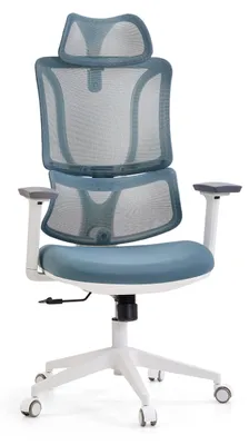 Produktbild von MyBuero Profi Bürostuhl ERGOMY W Ergonomischer Schreibtischstuhl mit Armlehnen (höhenverstellbar) Stoff / Netzstoff Blau Drehstuhl für Büro, Zuhause