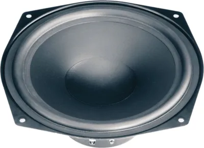 Produktbild von Visaton WS 20 E 8 Zoll 20.32cm Tieftoener 80W 4Ω, 1057, Schwarz