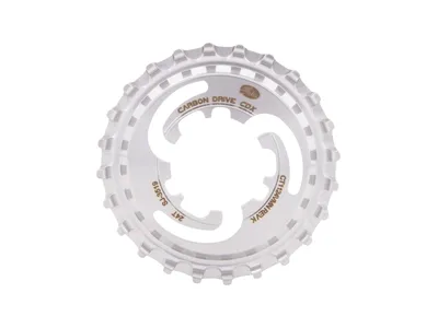 Image de Gates - Gates CDX arrière -Tandleer 24 Tands Enviolo Nuvinci