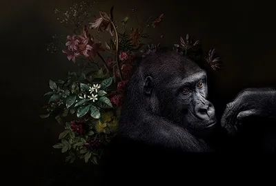 Produktbild von Tadessi Fototapete | Blumen | 4.00 m x 2.70 m | Schwarz | Braun | Wandbild | Digitaldruck