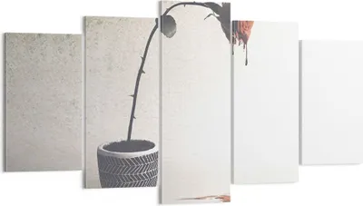 Produktbild von Bild auf Leinwand - Leinwandbild - 5 Teile - Symbol Rose Leiden - 160x85cm - Wand Bild - Wanddeko - Wandbilder - Leinwanddruck - Bilder - Wanddekoration - Leinwand bilder - Wandbild - EA160x85-4501