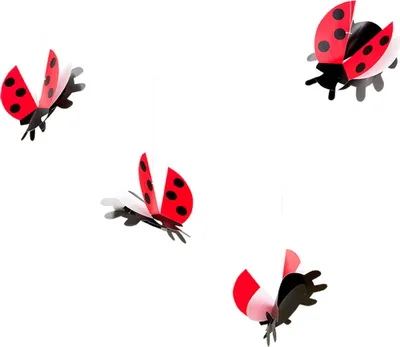 Image de Flensted Mobiles - Coccinelle
