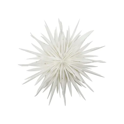 Produktbild von House Doctor Papierstern Stern DUST creme offwhite | Ø70cm