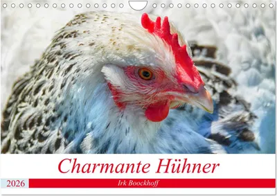 Produktbild von Charmante Hühner (Wandkalender 2026 DIN A4 quer), CALVENDO Monatskalender