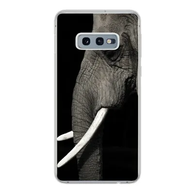Produktbild von MuchoWow® Handyhülle Schutzhülle Hülle für Samsung Galaxy S10e Elefant - Tier - Stoßzahn Silikon Softcase Handy Hülle - Handy