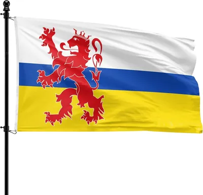 Image de Drapeau Limburg, 90 x 150 cm, en polyester, pour mât