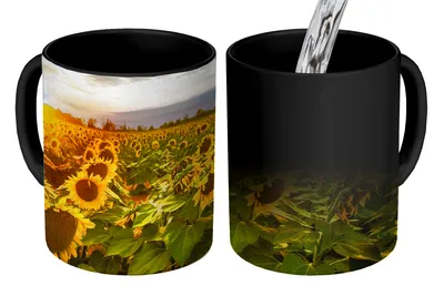 Obrázok produktu pre MuchoWow® Magický pohár Kvety - Slnečnica - Obloha 350 ml Pohár na zmenu farby Darček Nápad na darček - Foto hrnček