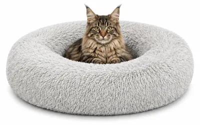 Produktbild von lionto Donut Katzenkissen, rundes Bett mit Plüschbezug & Anti-Rutsch-Boden, erhöhter Rand für Geborgenheit, 60 cm Durchmesser, hellgrau