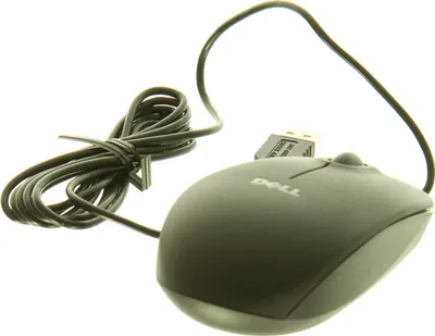 Produktbild von Dell MS111 - Maus - optisch - kabelgebunden - USB - für Inspiron 3646 (9RRC7)
